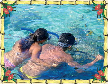 Kauai Snorkel